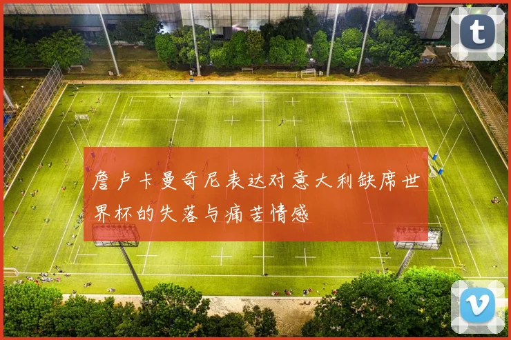 詹卢卡曼奇尼表达对意大利缺席世界杯的失落与痛苦情感