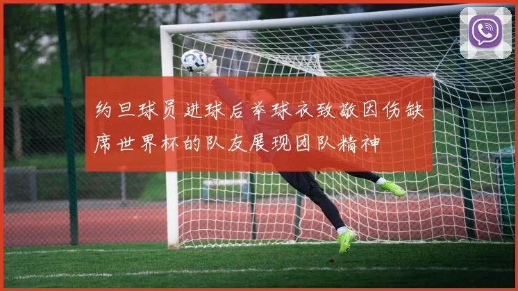 约旦球员进球后举球衣致敬因伤缺席世界杯的队友展现团队精神